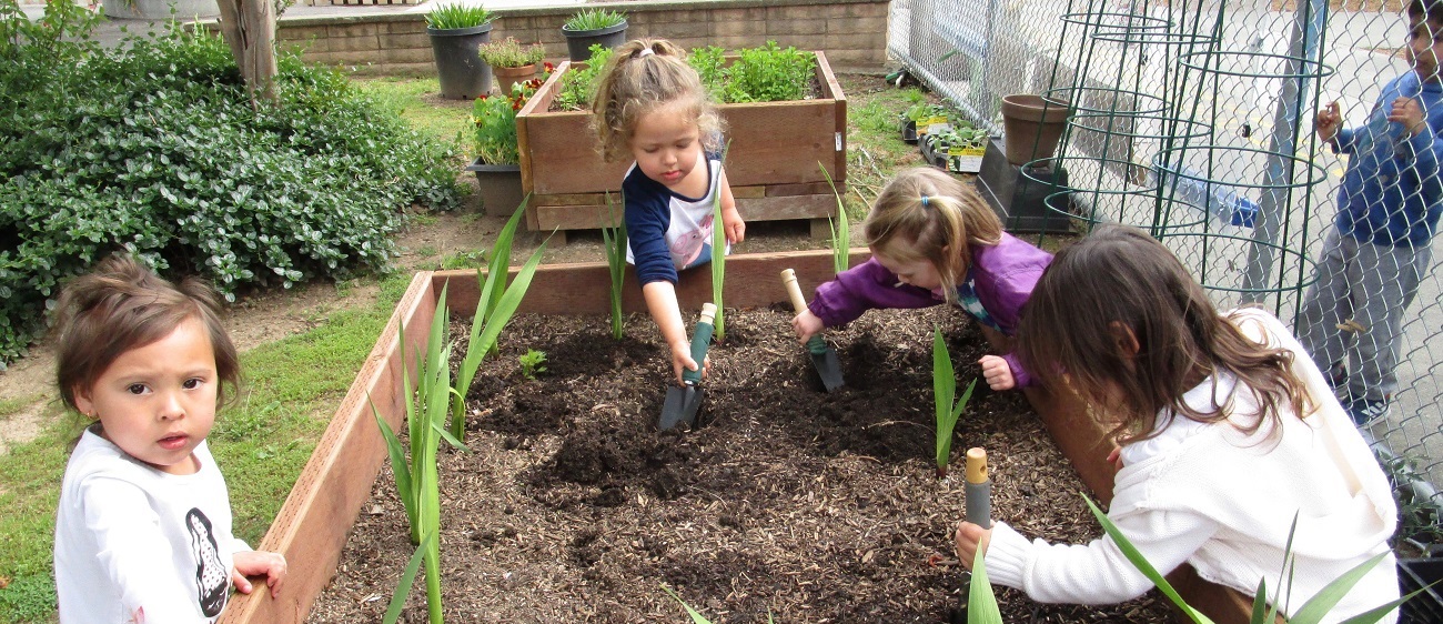 Learning Pathways students engaged in collaborative preschool activities